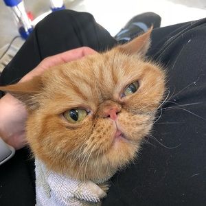 Meet your Posher, Jess